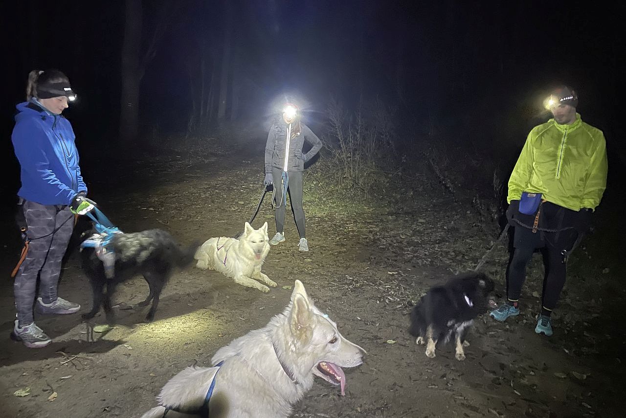 Canicrossový výběh pro všechny Soběšice