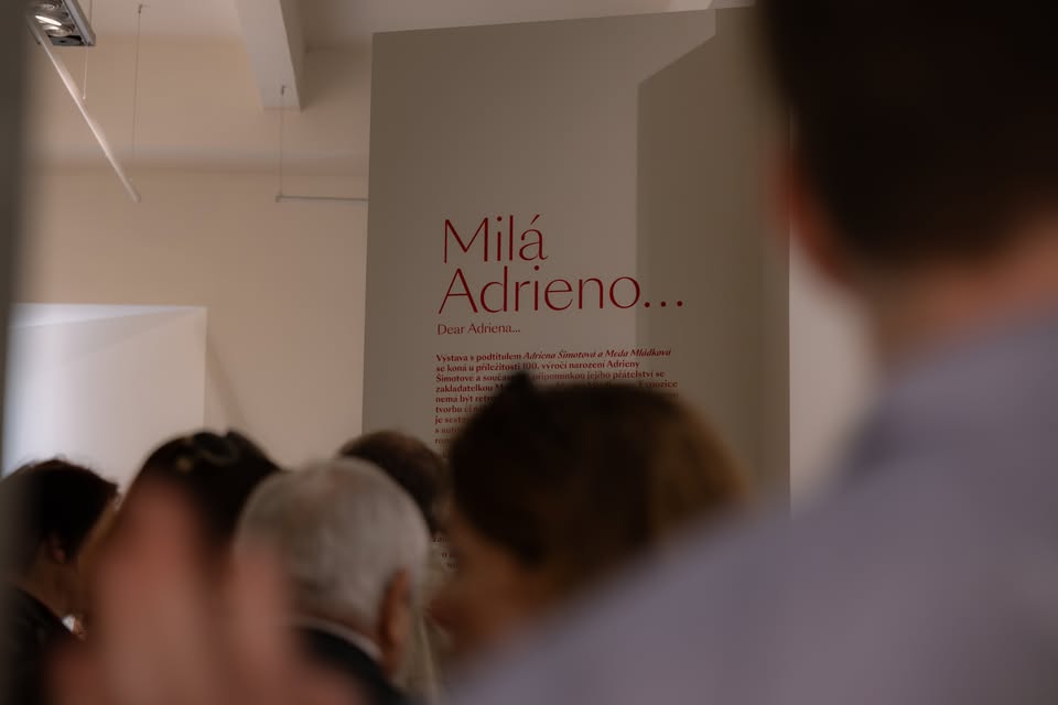 Komentovaná prohlídka výstavy Milá Adrieno s Markétou Čejkovou