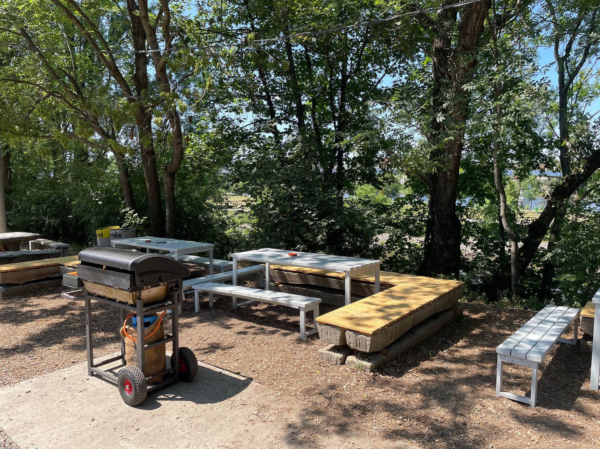 Let’s Grill in Karlin! 🍗 🍻 ☀️ 🥳
