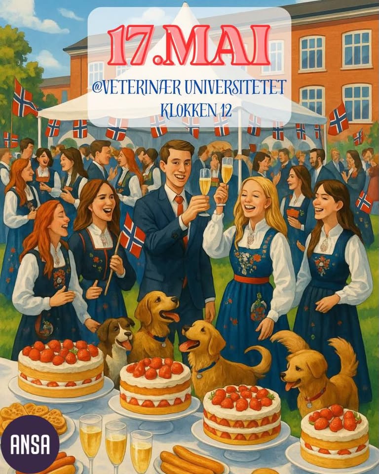 17. Mai-feiring🇳🇴