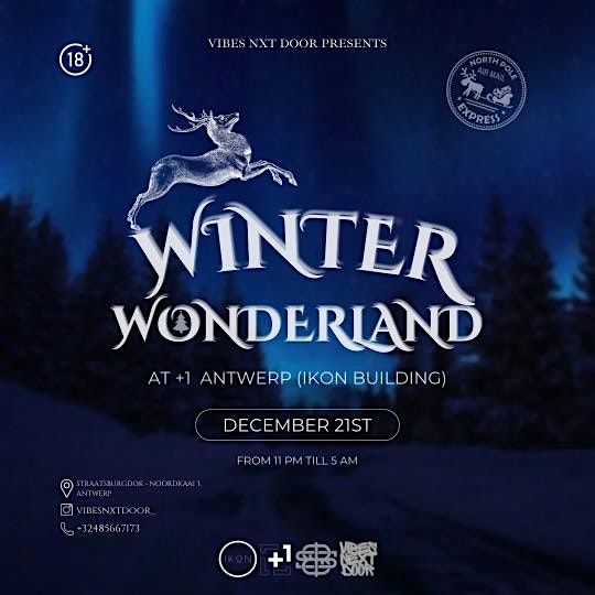 VIBESNEXTDOOR: WONDERLAND