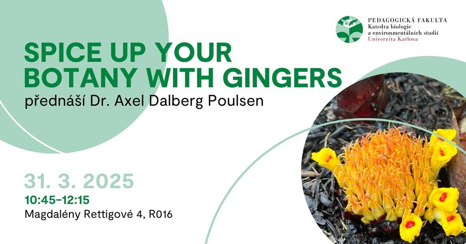 Spice up your Botany with Gingers