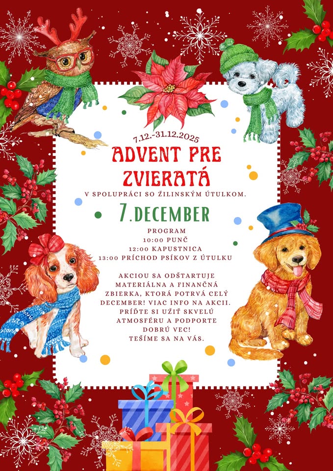 Advent pre zvieratá