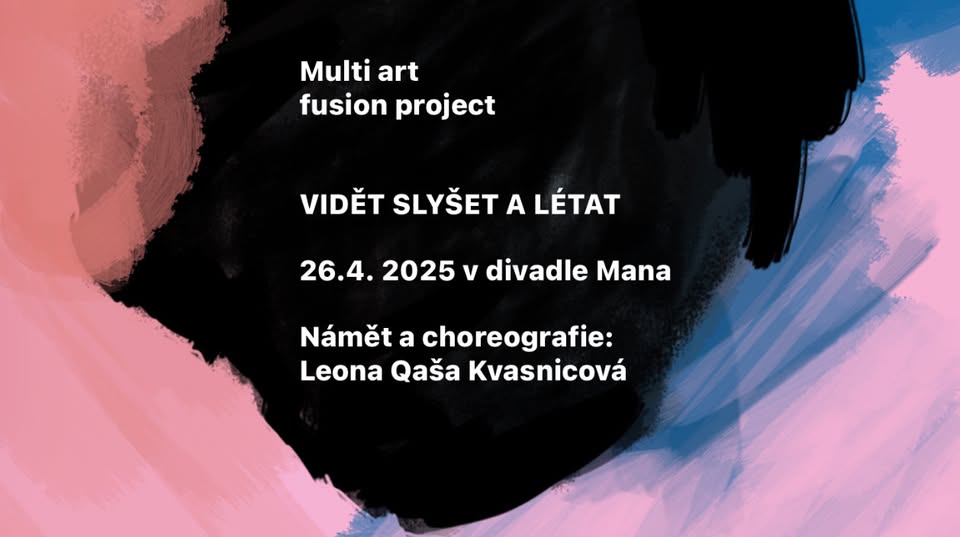"Vidět slyšet a létat"  multi art fusion project