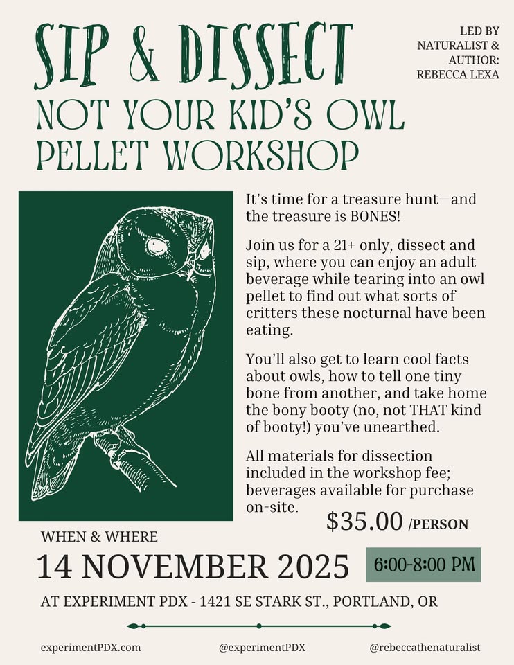 Sip & Dissect: Not Your Kid's Owl Pellet Workshop