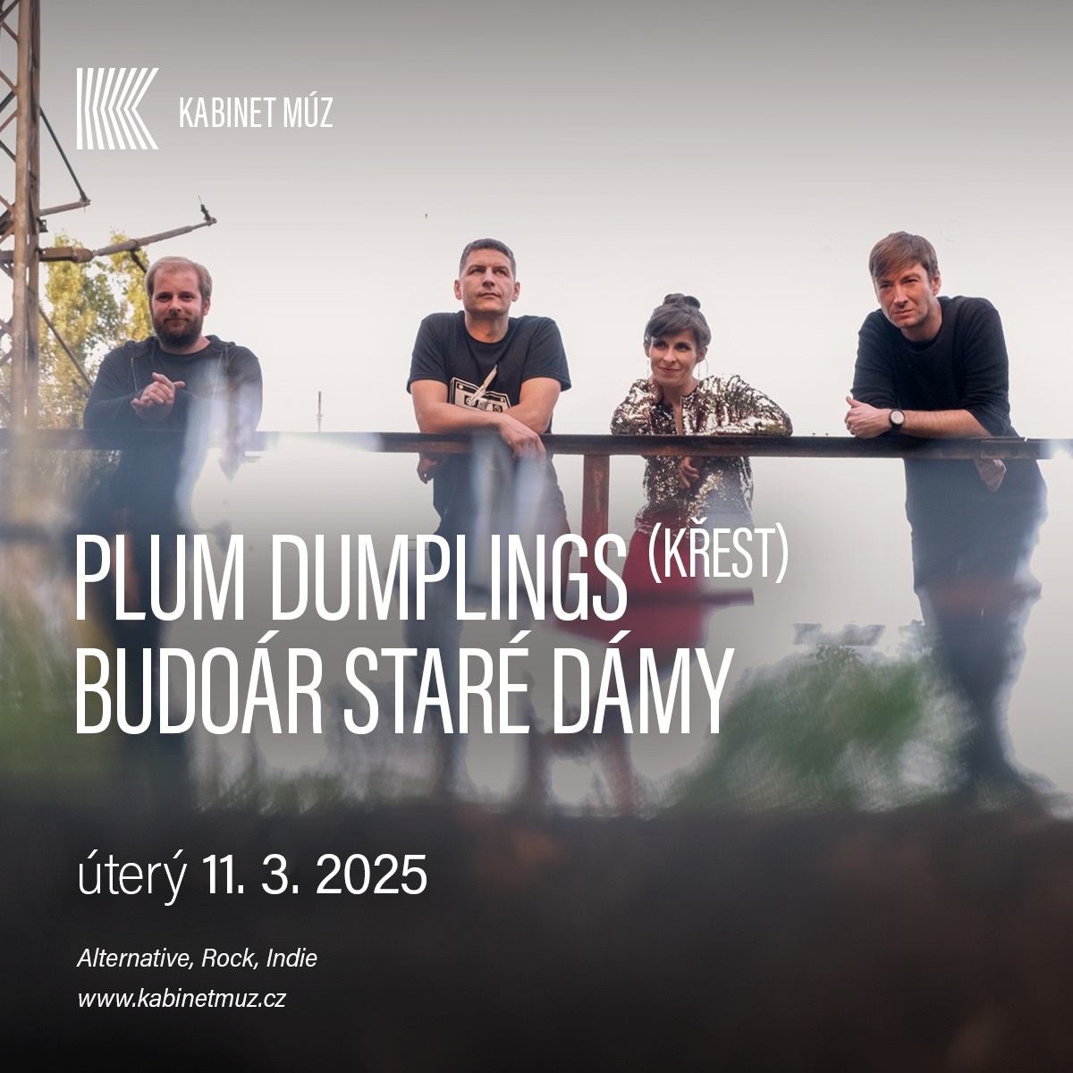 PLUM DUMPLINGS (KŘEST) + BUDOÁR STARÉ DÁMY