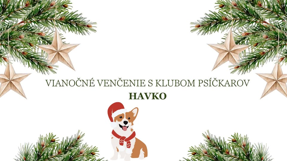 Vianočné venčenie s Klubom psíčkarov – Havko