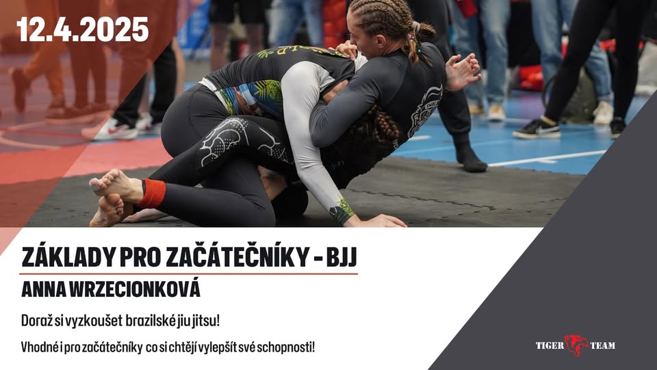 Základy pro začátečníky - BJJ