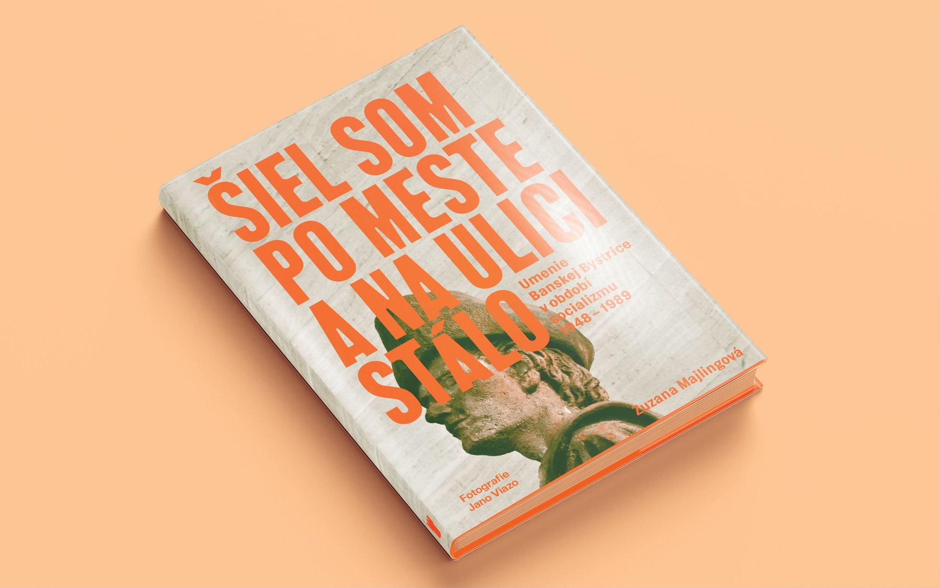 Šiel som po meste a na ulici stálo — uvedenie knihy