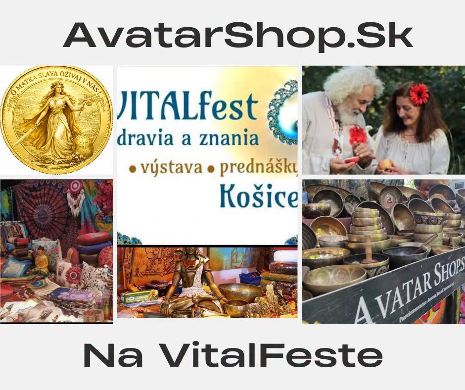 AvatarShop na Košickom VITAL feste...