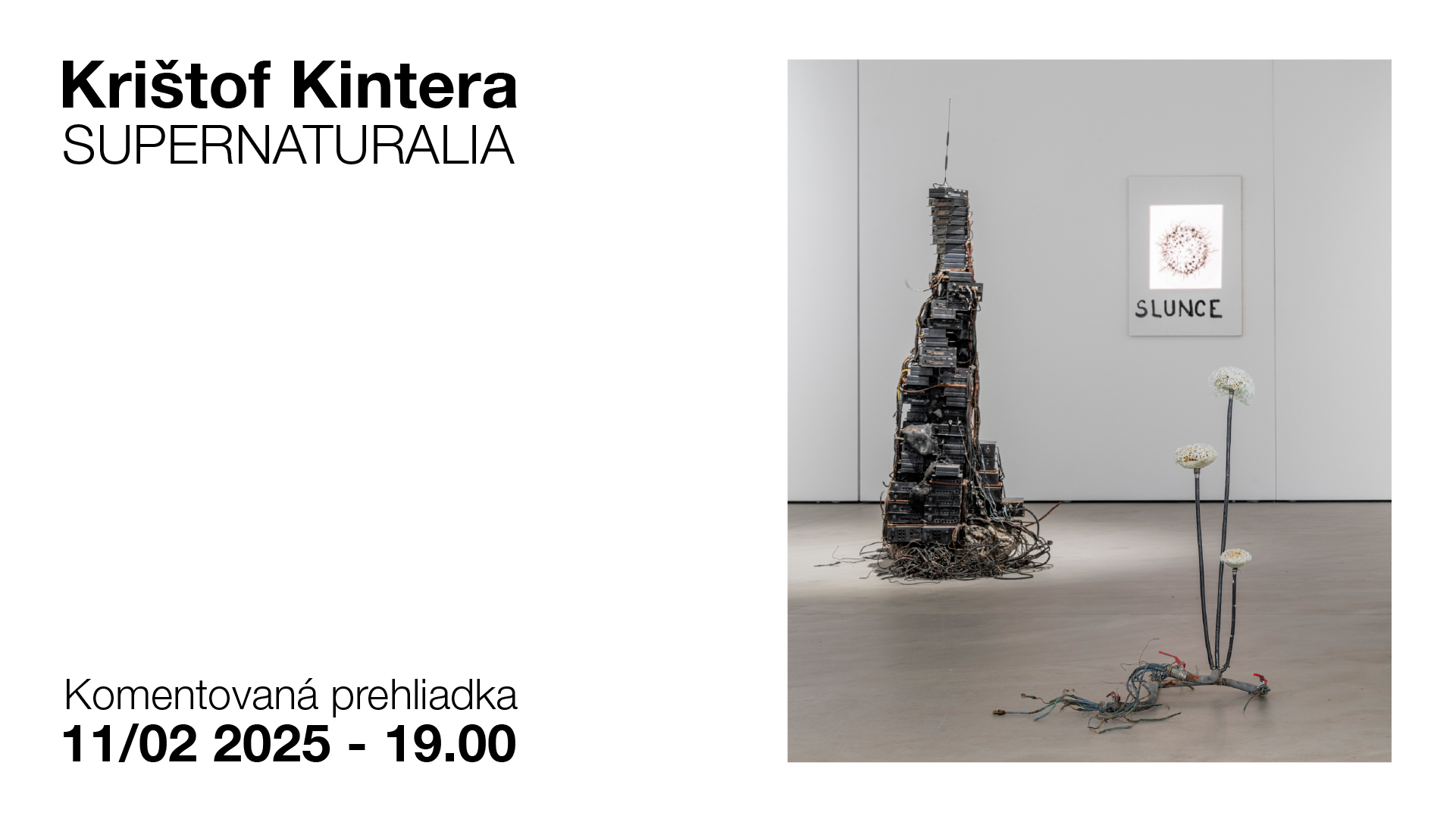Komentovaná prehliadka / SUPERNATURALIA