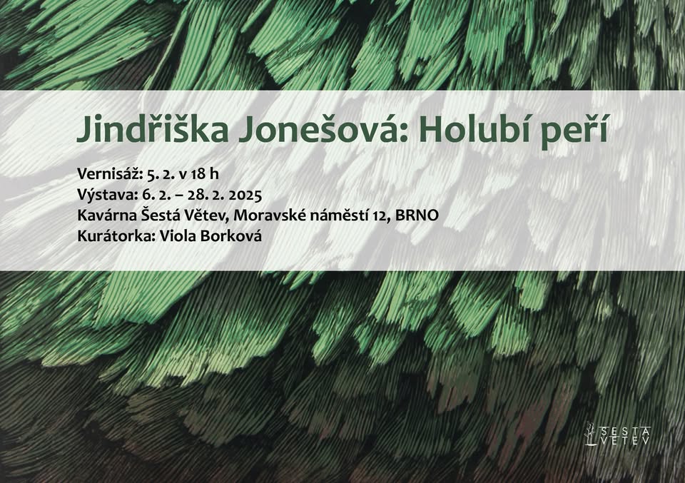 Holubí peří (vernisáž)