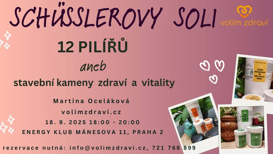Schüsslerovy soli - 12 pilířů