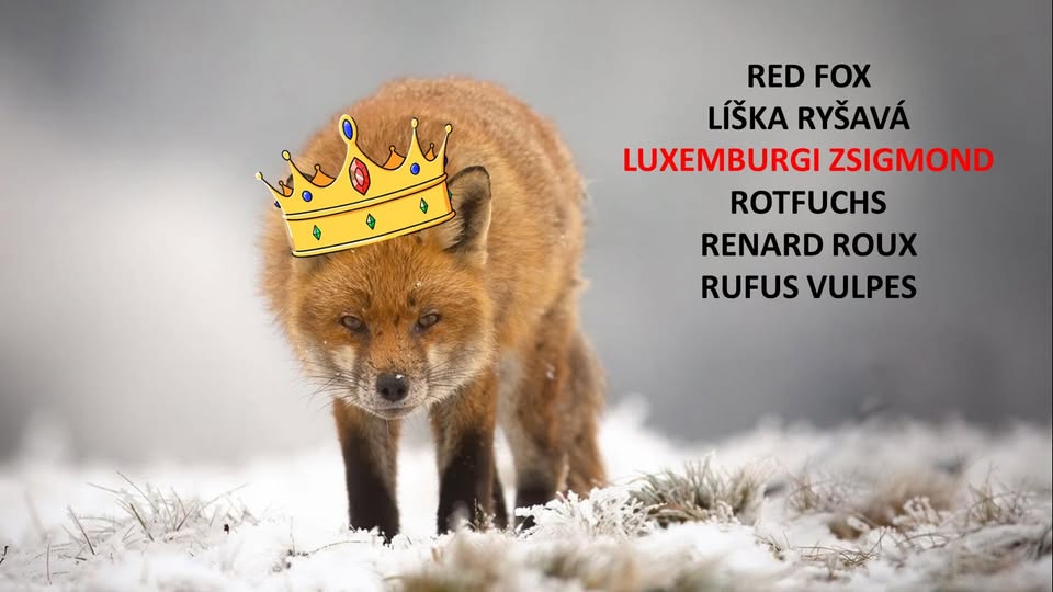 RENDHAGYÓ TÖRIÓRA 2026/III– LUXEMBURGI ZSIGMOND / Časostroj  III/2026