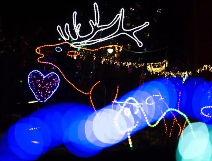 BrewLights
