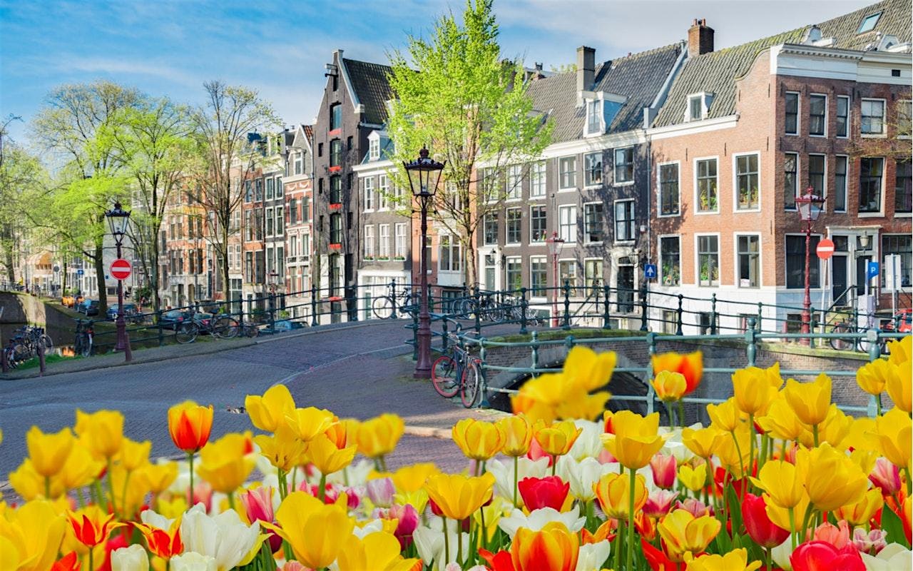 Amsterdam Old Town Quest Experience: The Golden Tulip Hunt