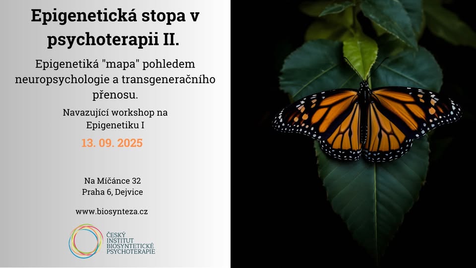 EPIGENETICKÁ STOPA V PSYCHOTERAPII II.