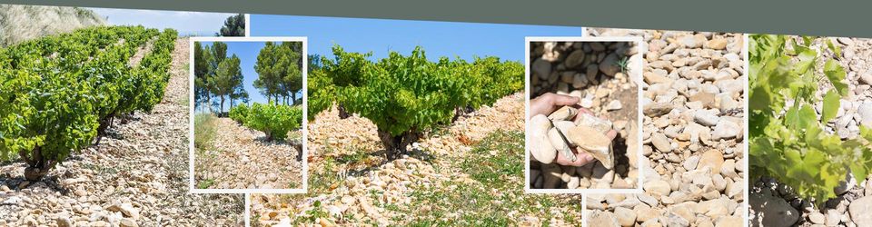 11 Novinek z jižní Rhôny a Languedocu