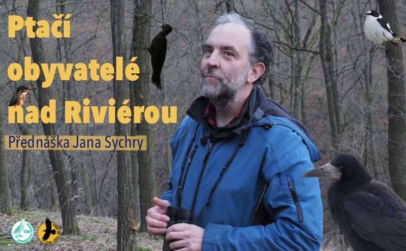 Přednáška - Ptačí obyvatelé nad Riviérou
