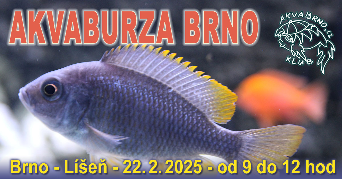 Zimní akvaristická burza Brno