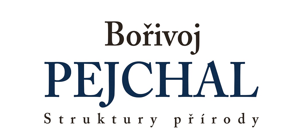 Bořivoj Pejchal - Struktury přírody | Galerie M | Pelhřimov