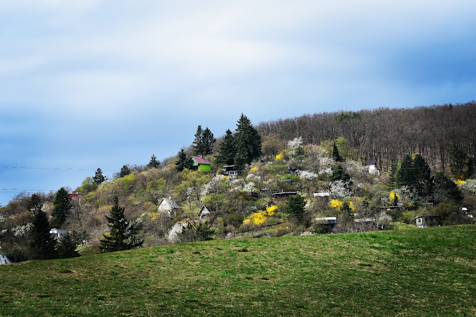 Výběh 7/2025 - MEDLÁNKY (ZAČÁTEČNÍCI) (Brno - sever)
