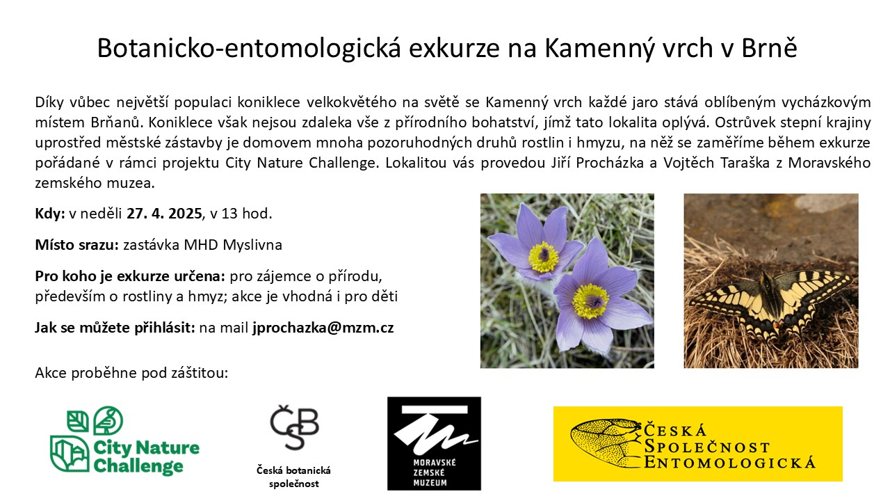 Botanicko-entomologická exkurze na Kamenný vrch