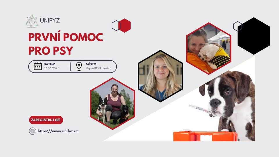 Kurz PRVNÍ POMOCI (nejen) PRO FYZIOTERAPEUTY PSŮ