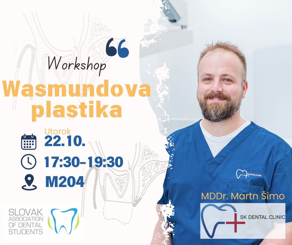 Workshop - Wasmundova plastika