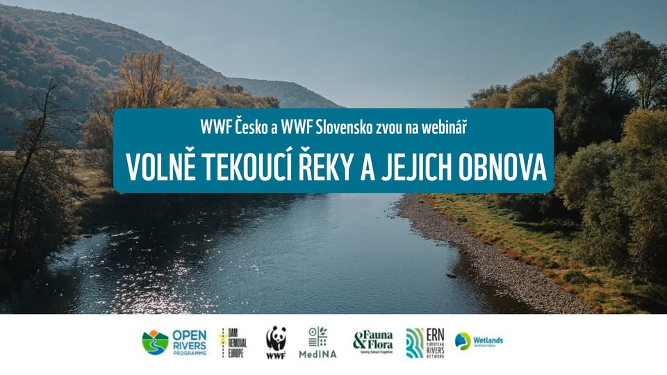 Voľne tečúce rieky a ich obnova