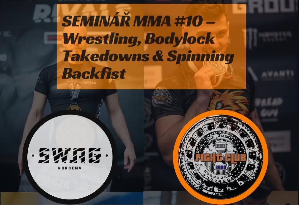 Seminář MMA #10