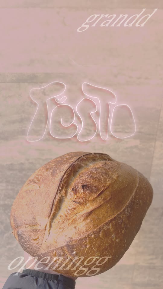 TĚSTO grandd openingg