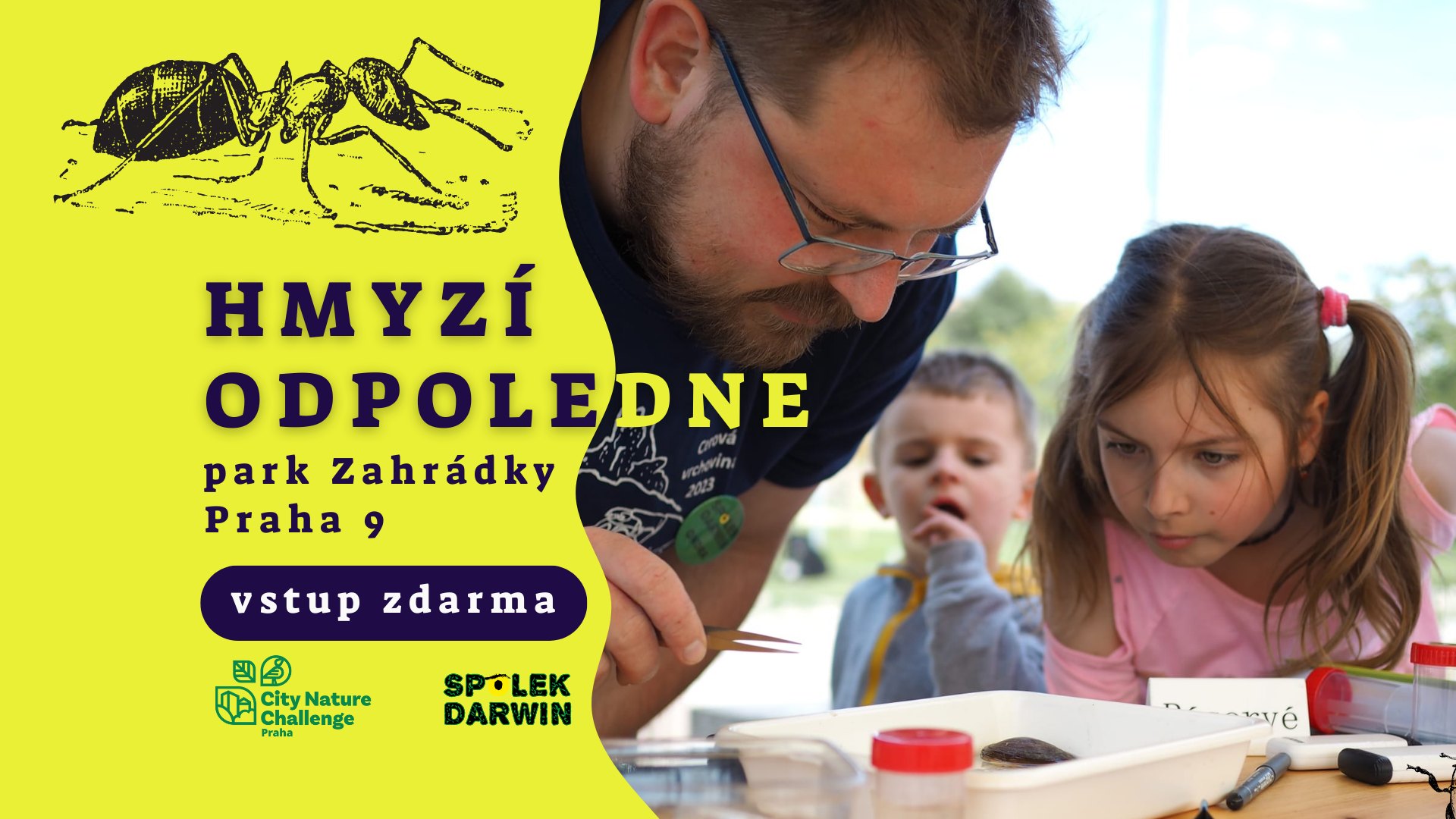 Hmyzí odpoledne / park Zahrádky
