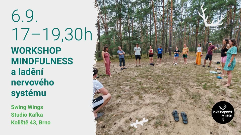 Workshop mindfulness a ladění nervového systému