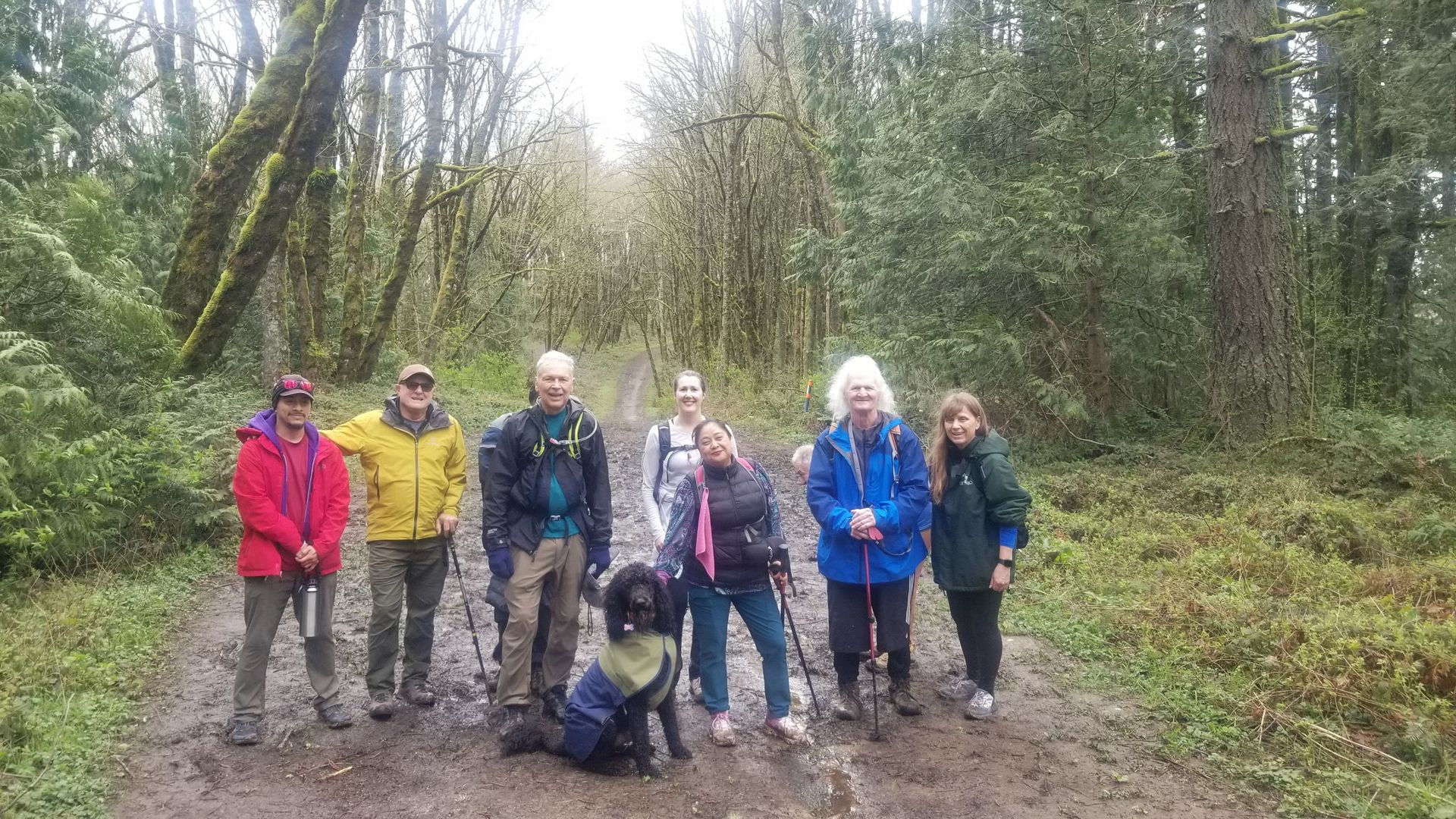 Forest Park Beginner Friendly Fridays All Trails Challenge: Hike #15