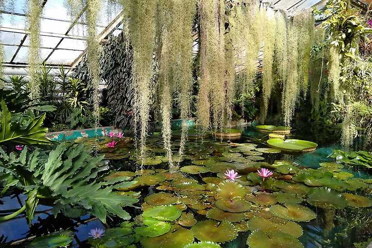 Jesenná špacírka po Botanickej záhrade