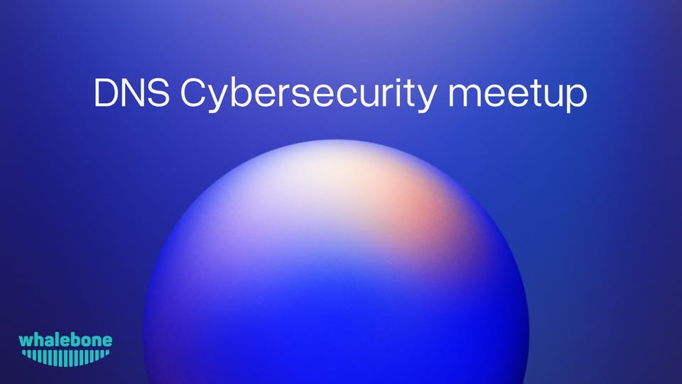 DNS Cybersecurity meetup