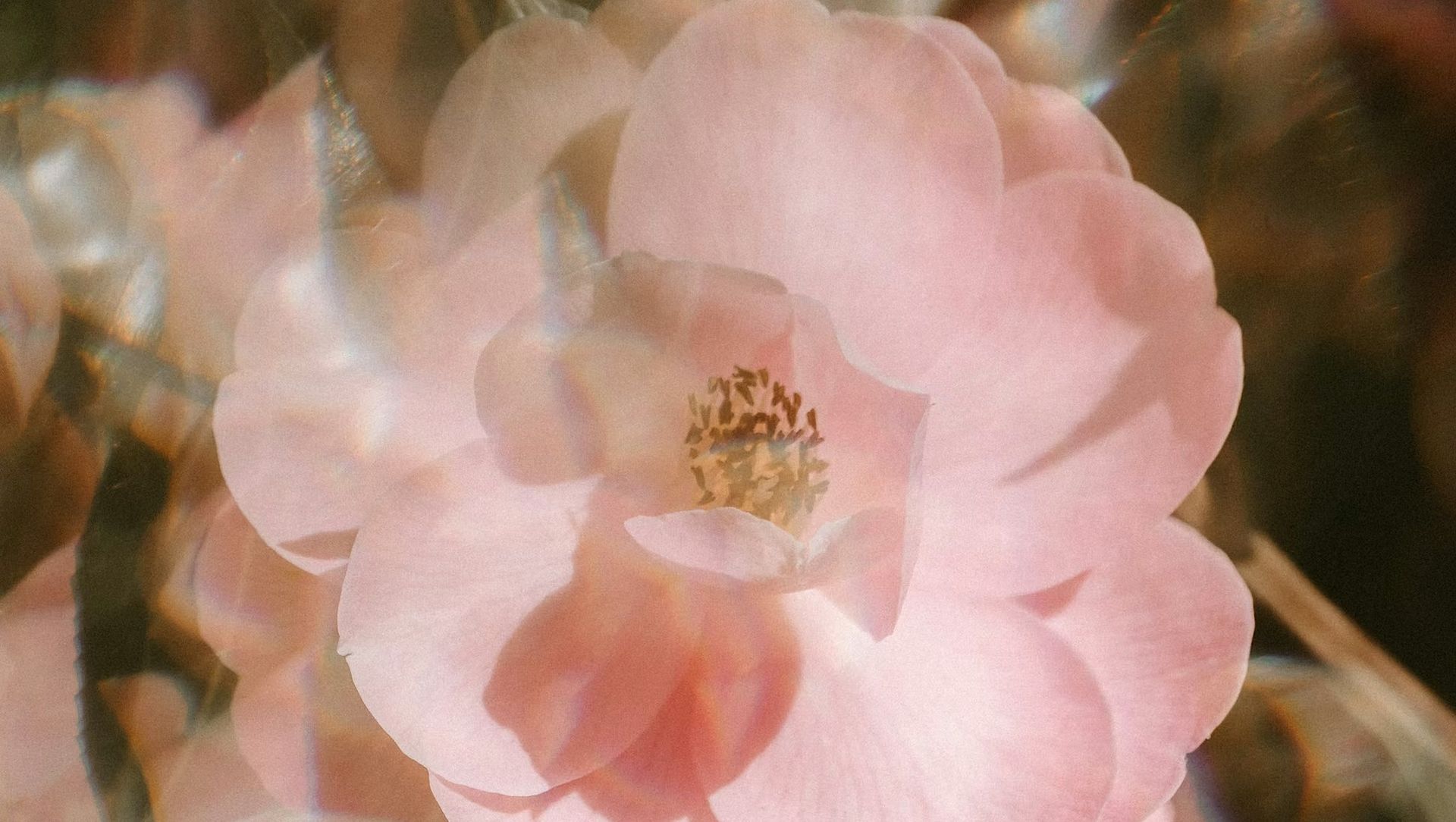 Reclaiming your Feminine Power