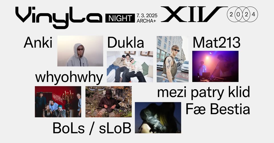 VYPRODÁNO: Vinyla night: Anki, boLs / sLob, Dukla, Fæ Bestia, Mat213, mezi patry klid, whyohwhy