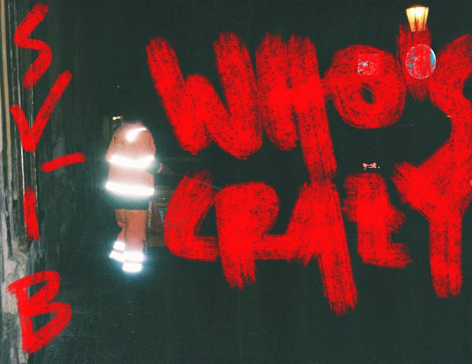 WHO’S CRAZY: Svíb