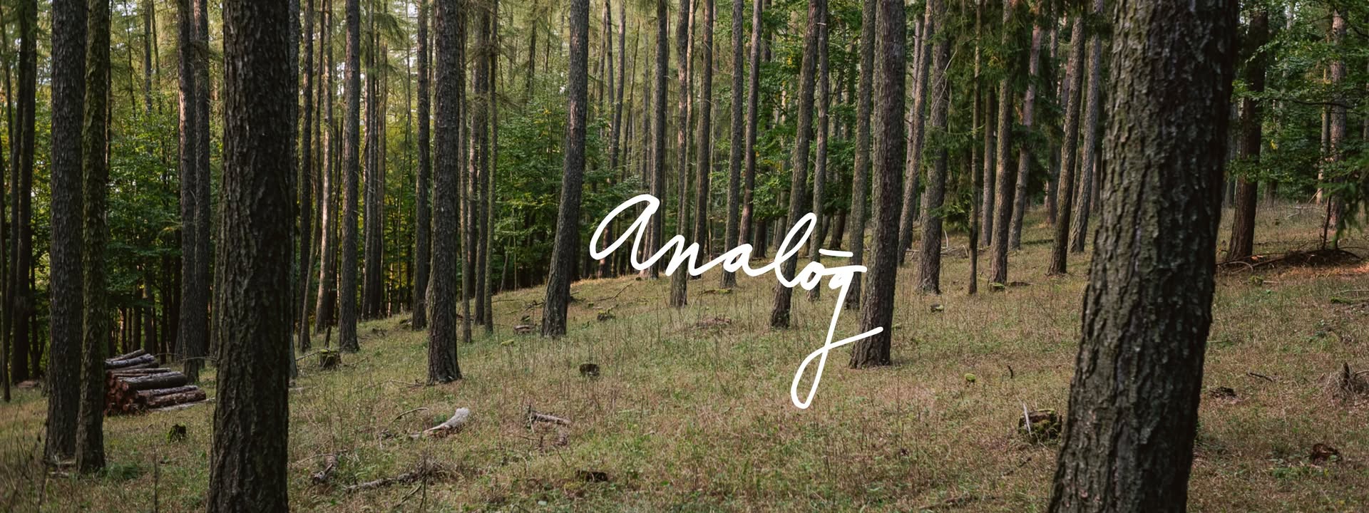 Analóg | Večer zdravých rituálov