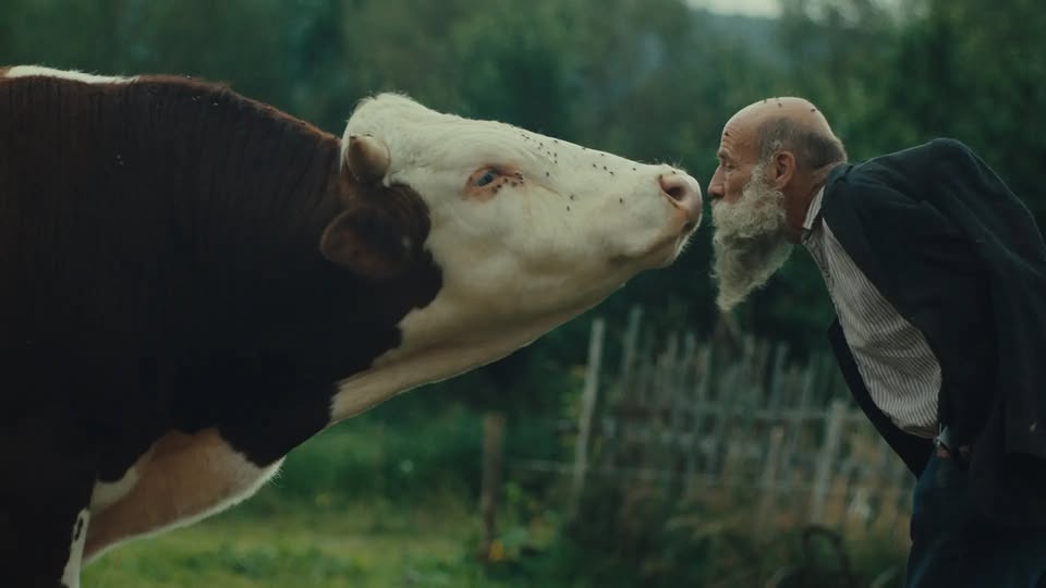 Raději's Sens in Wild I Screening + Discussion with Aleš Palan and Miro Remo