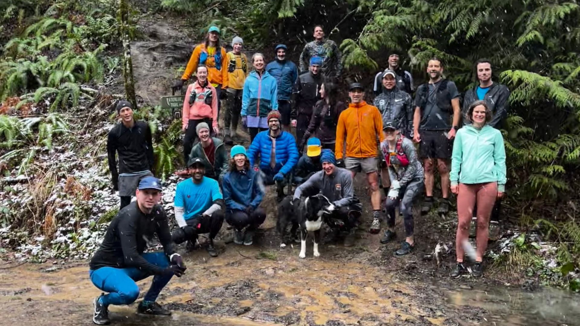 Springville Loop (Trail run in Forest Park)