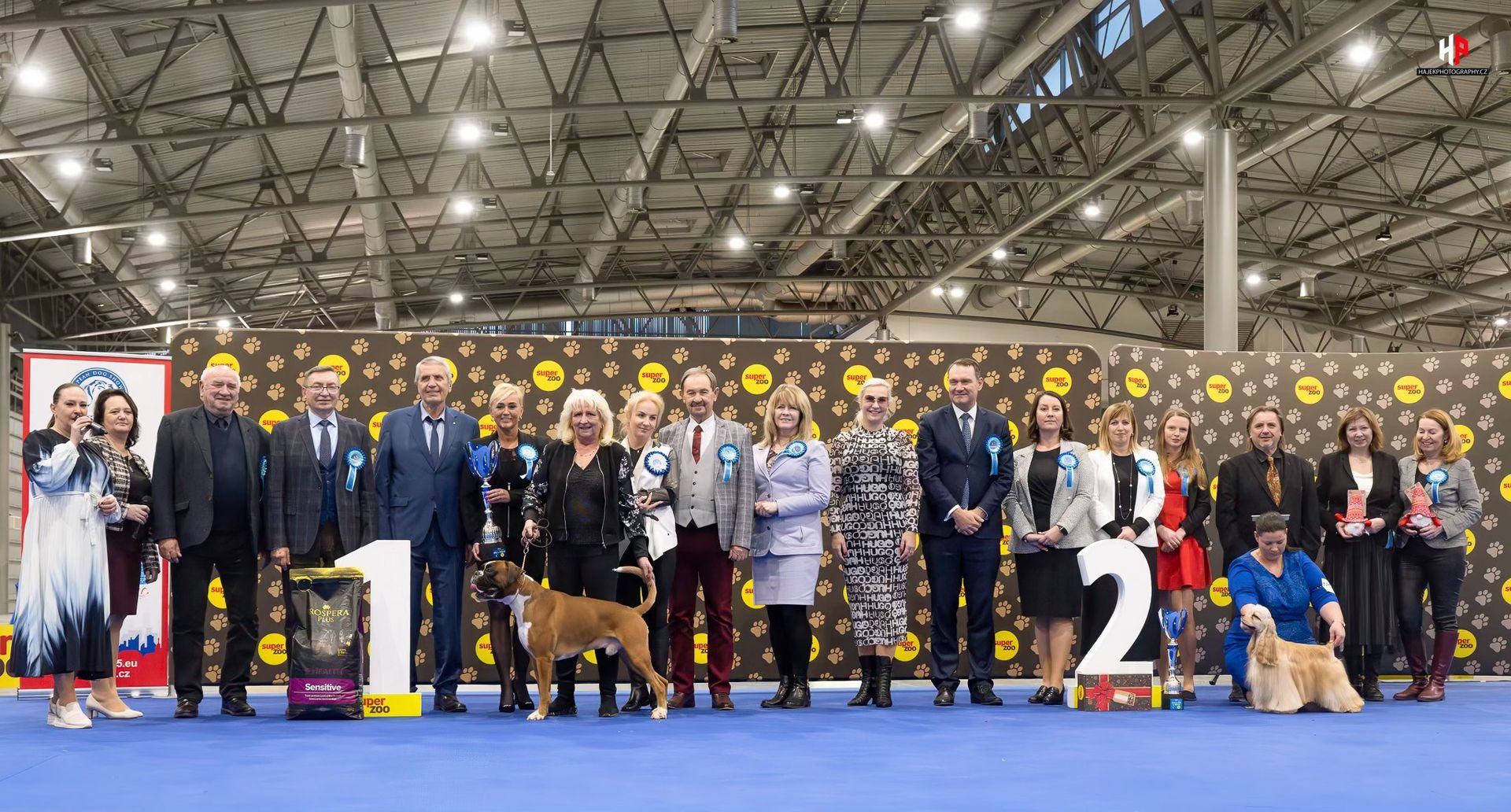 Národní výstava psů Brno 2026