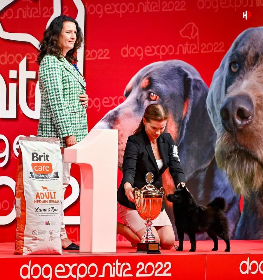 Kurzy doghandlingu