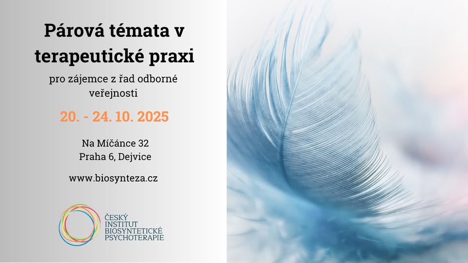 PÁROVÁ TÉMATA V TERAPEUTICKÉ PRAXI S MARIÍ DEL MAR