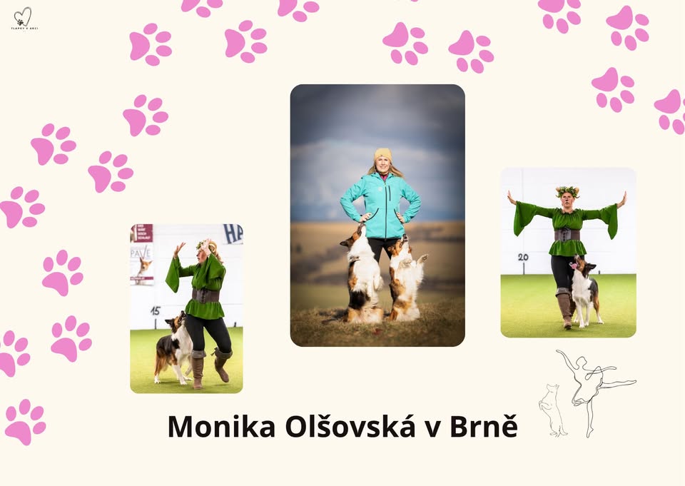 Dogdancingový seminář s Monikou Olšovskou