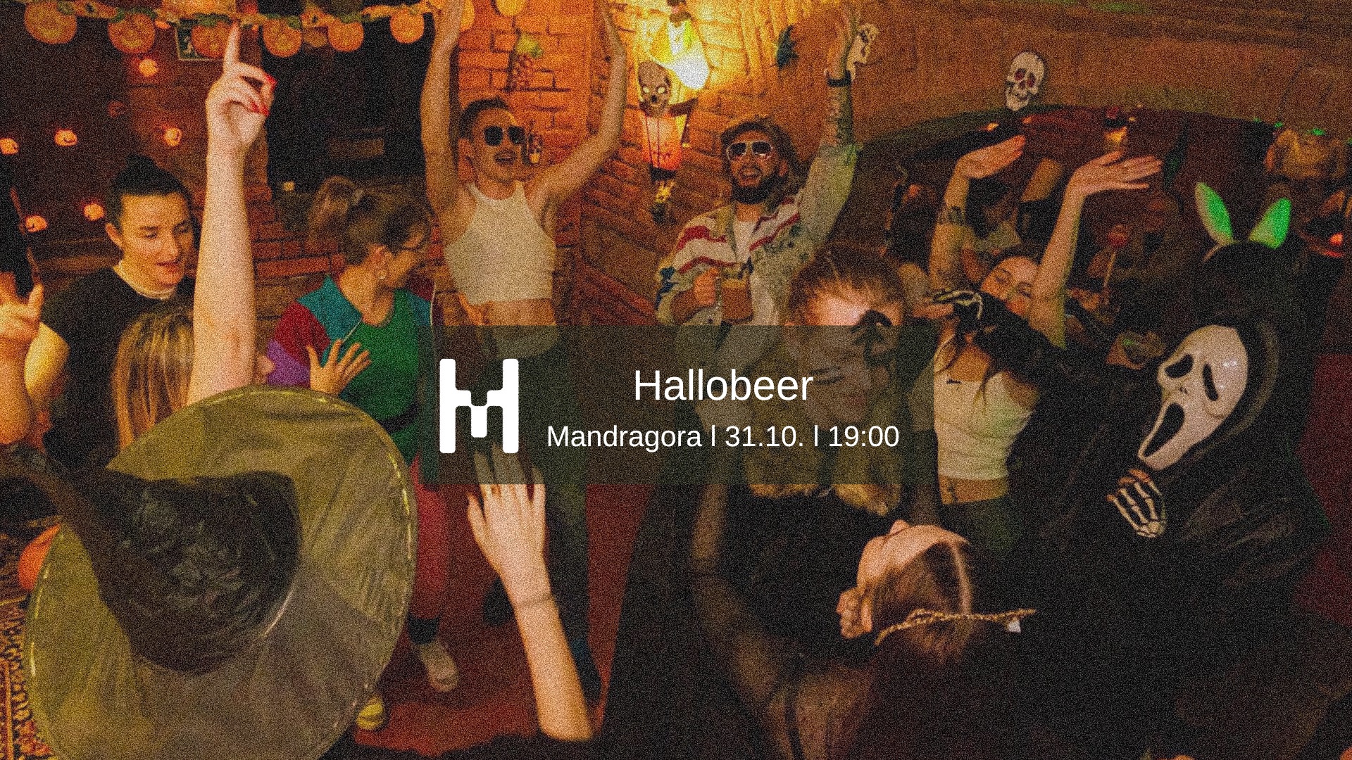 Hallobeer