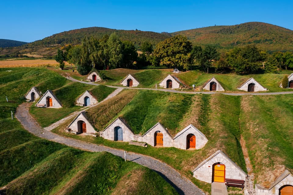 Tokaj Święto Wina