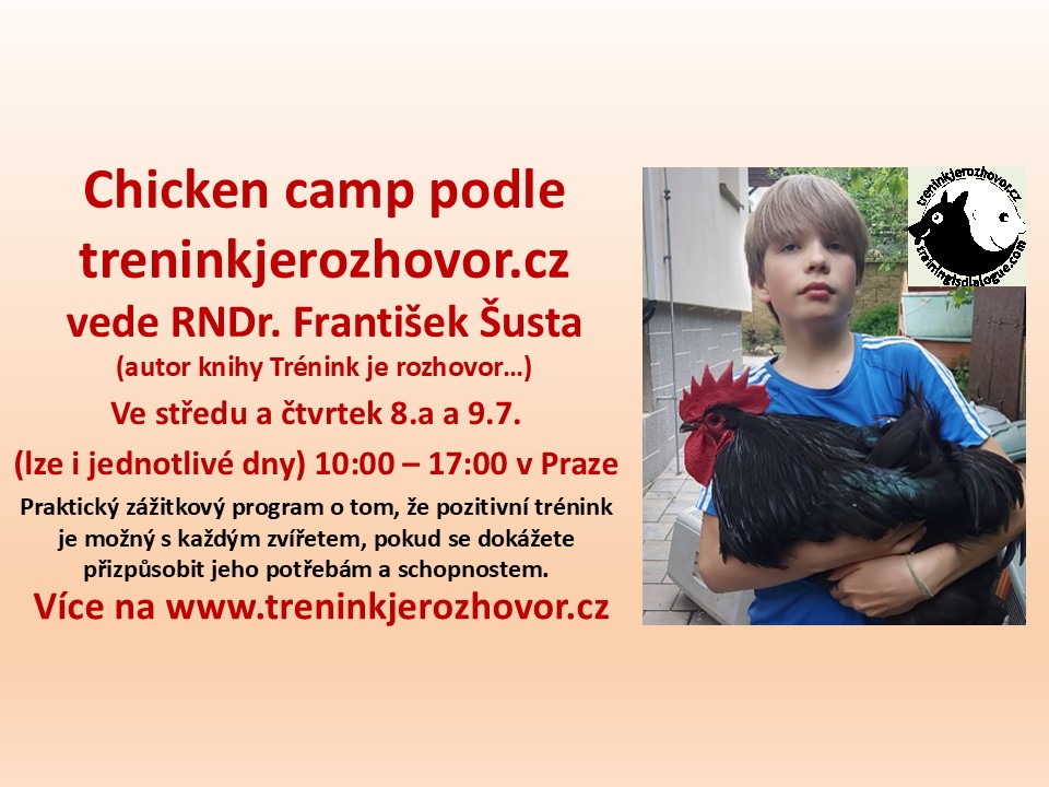 Chicken camp podle TRENINKJEROZHOVOR - se slepicemi a křepelkami